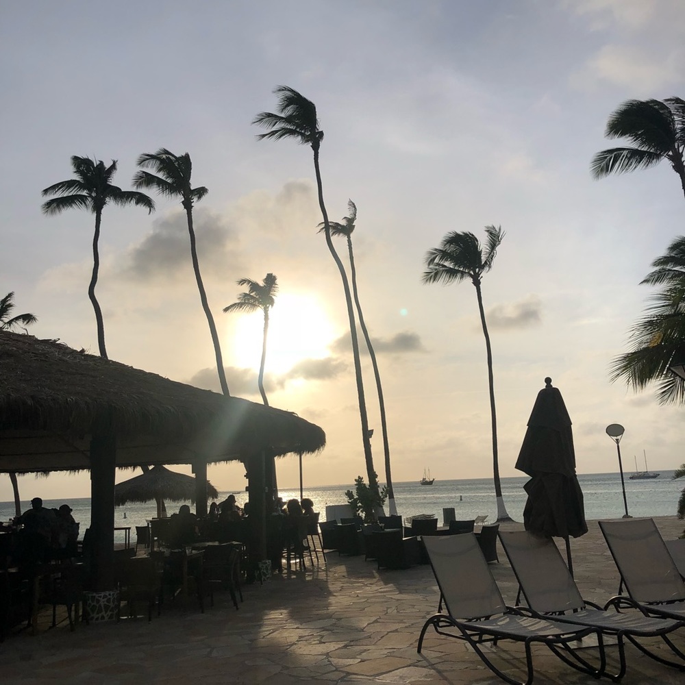 Meet your Posher, Jayi